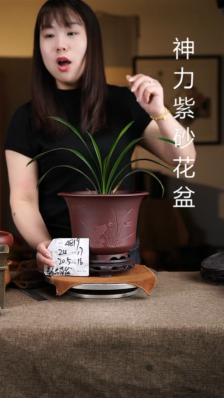 紫砂花盆紫砂花盆4819