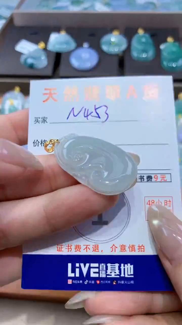 颈饰未镶嵌翡翠天然翡翠A货挂件