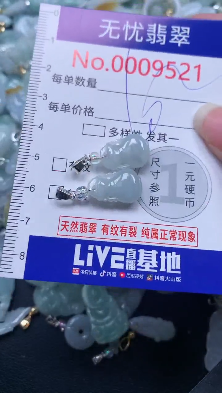 颈饰未镶嵌翡翠9521