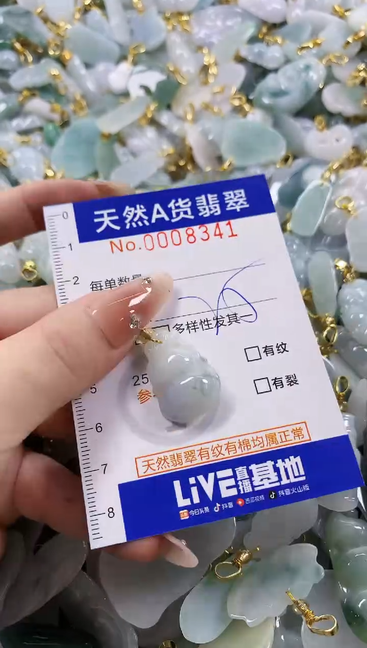 颈饰未镶嵌翡翠天然A货翡翠