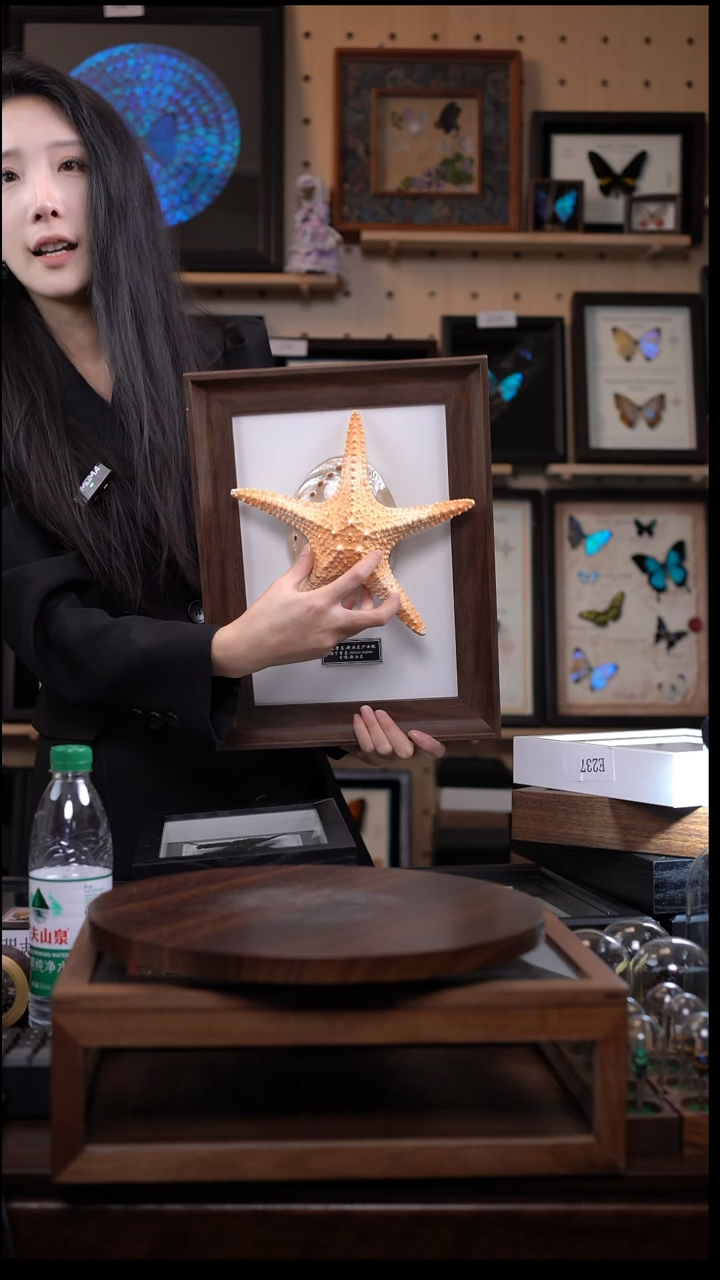 动物标本摆件竞拍j147