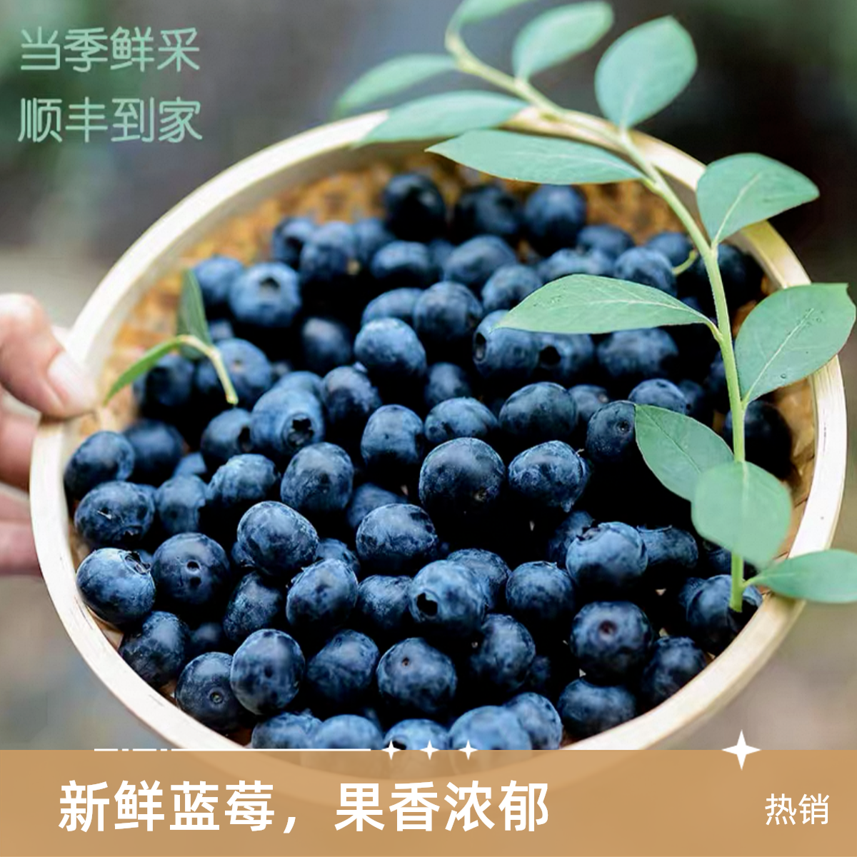 【顺丰】山东花香蓝莓新鲜采摘15-18mm 100g/盒到手10盒