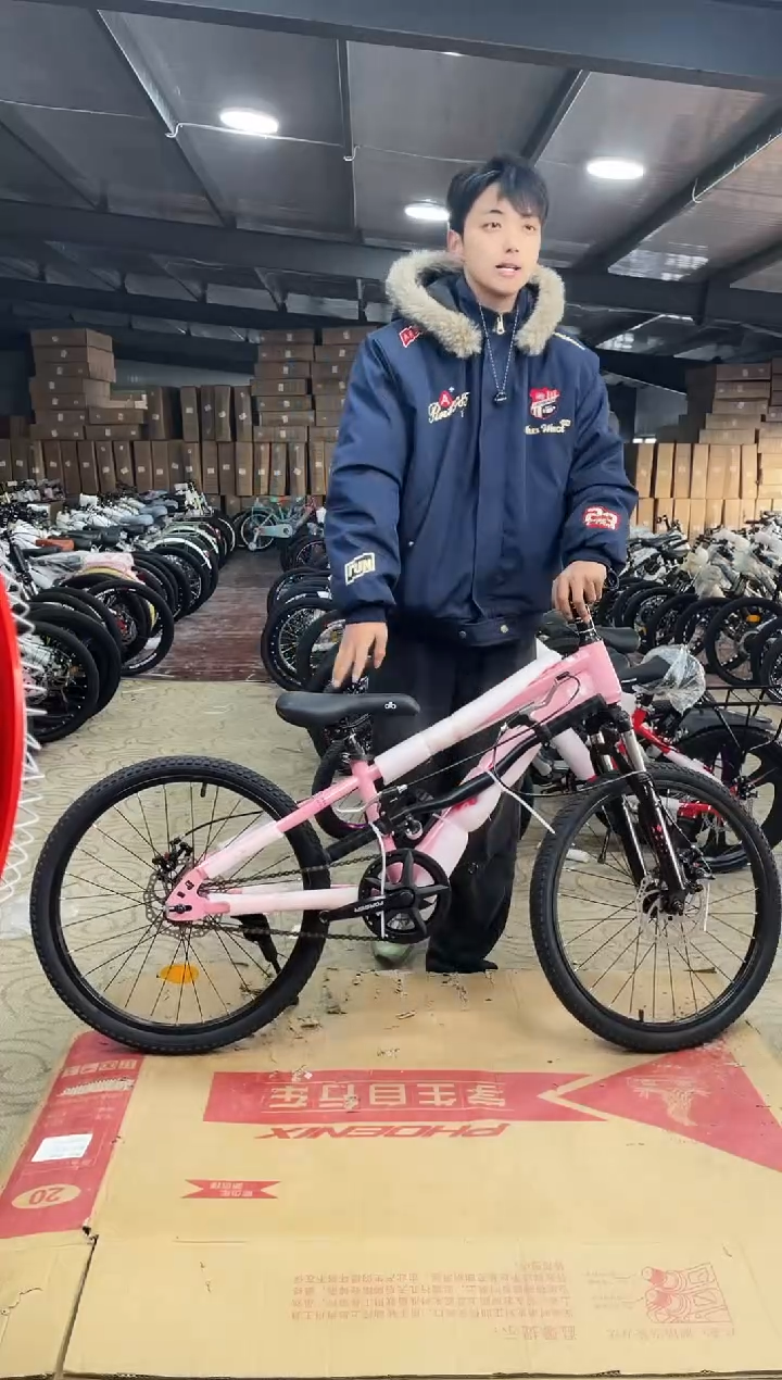 22寸-单速-粉【运损微瑕，不退不换】