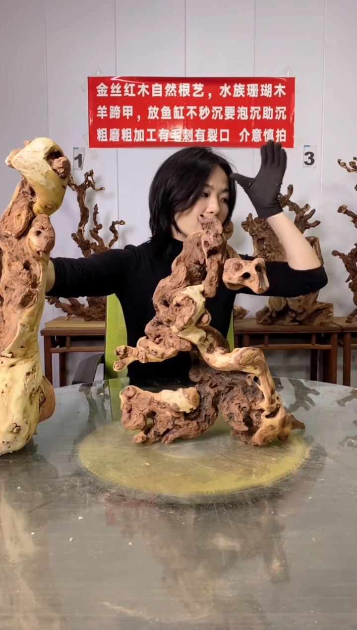 【闪购商品】木金丝红木 羊蹄甲