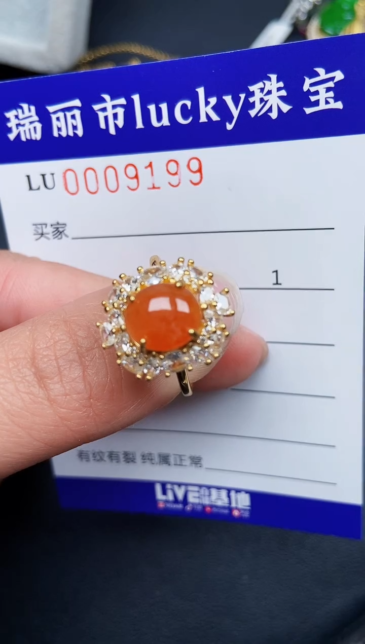 【闪购商品】翡翠颈饰银S925镶嵌9199