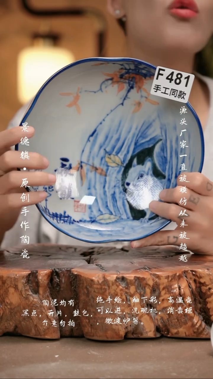 其他F481新十二器