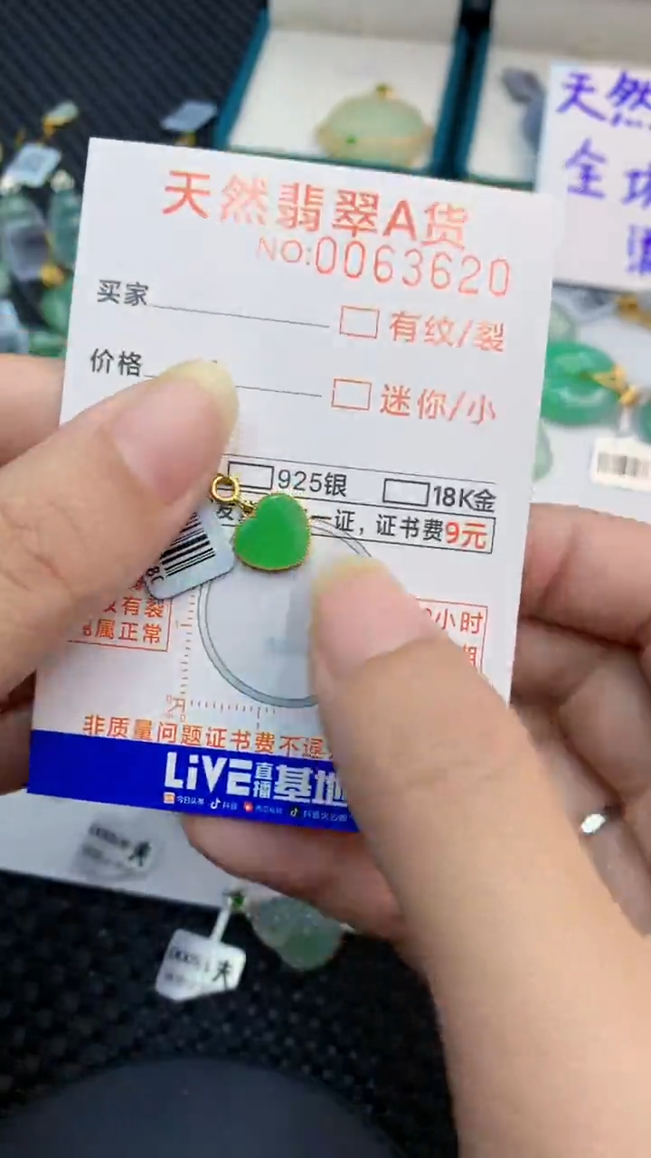 【闪购商品】翡翠颈饰18K金镶嵌            8