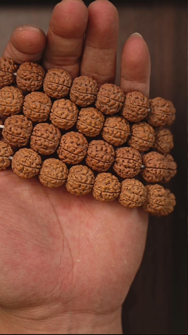 手串金刚菩提S19地表肉肉15~16mm