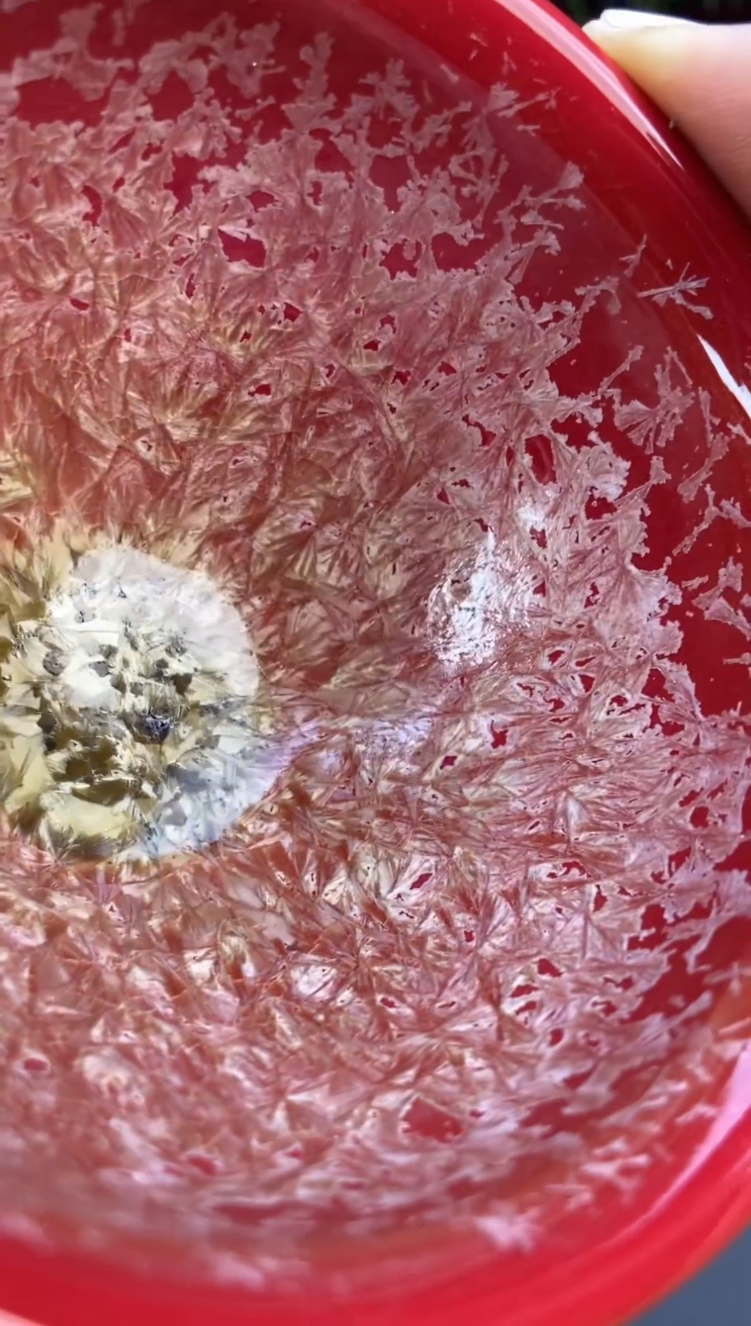 【闪购商品】茶盏@@@@88888888截图为准