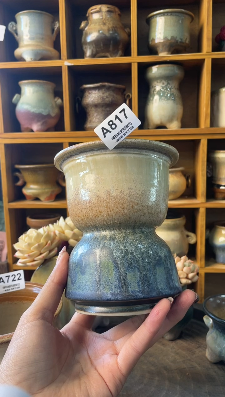 817【多肉花盆多肉盆】