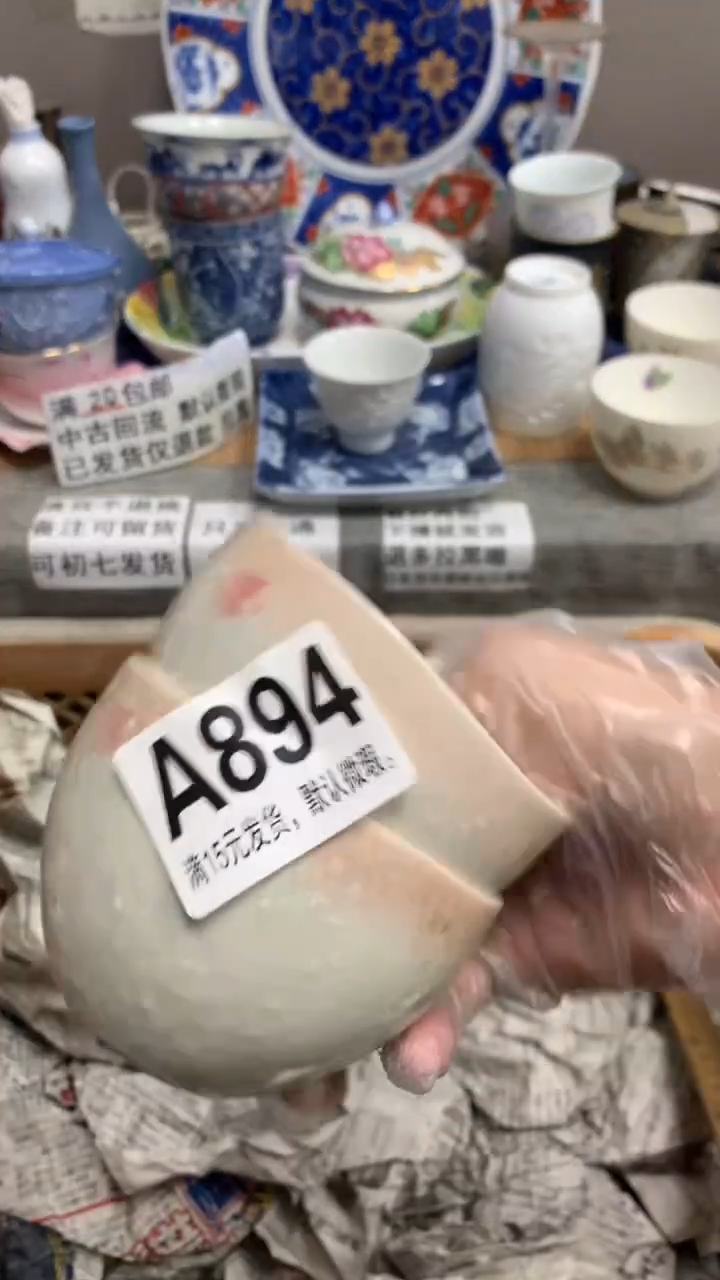 【闪购商品】瓷片894 L66snake L66snak