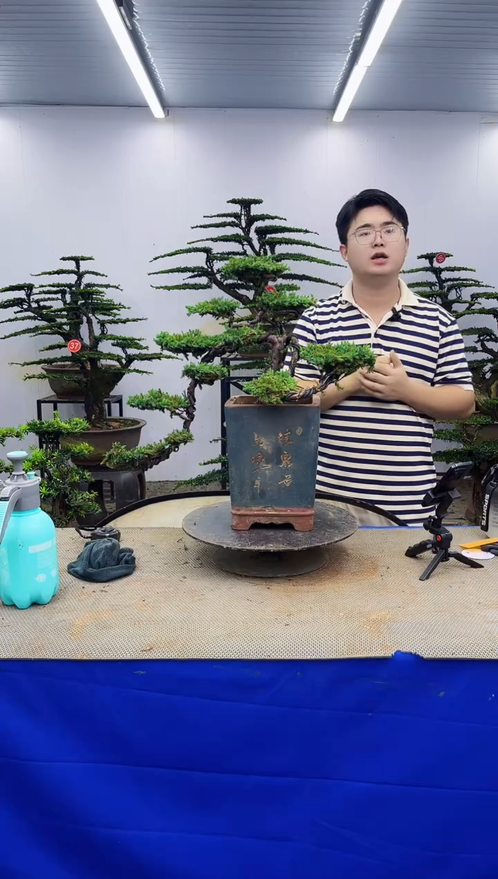 以实际为准一物一拍，所见即所得