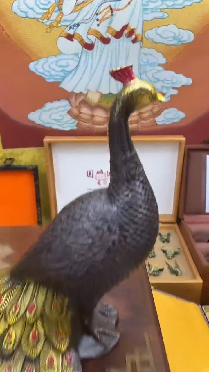 【闪购商品】主播推荐