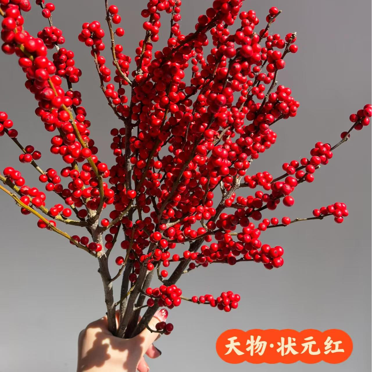 一花一瓶【高品质天物冬青】小众轻奢 高端花材 昆明 顺丰包邮