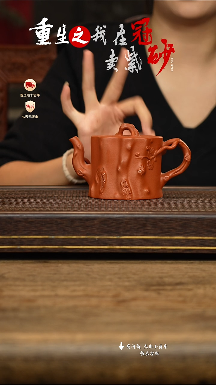 茶壶紫砂冠砂茶器紫砂茶壶48
