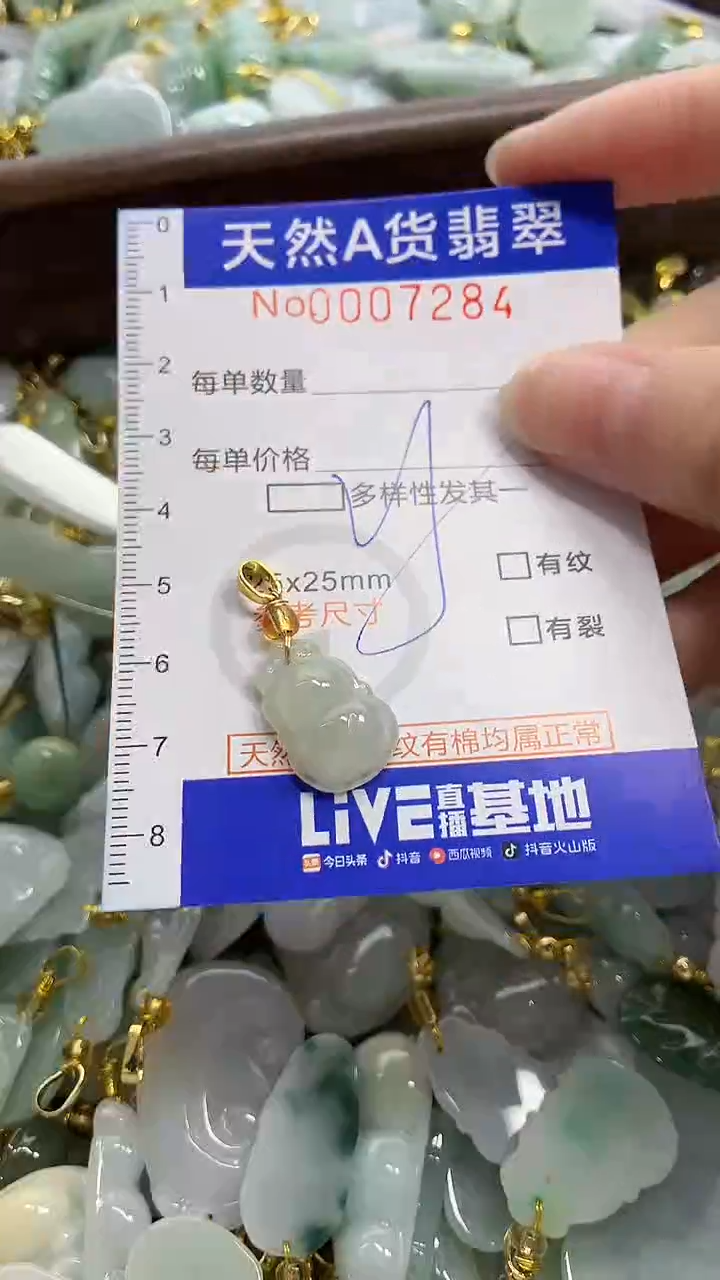 颈饰未镶嵌翡翠天然A货翡翠