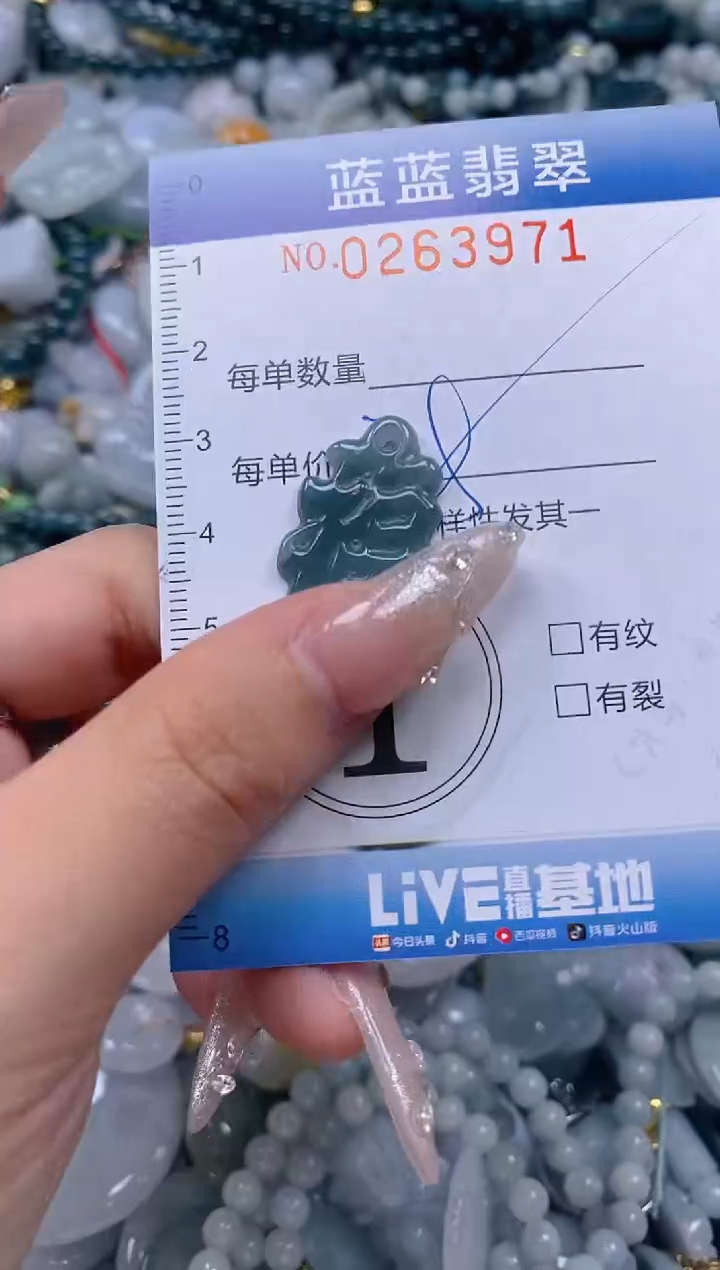 翡翠未镶嵌颈饰闪购0263971