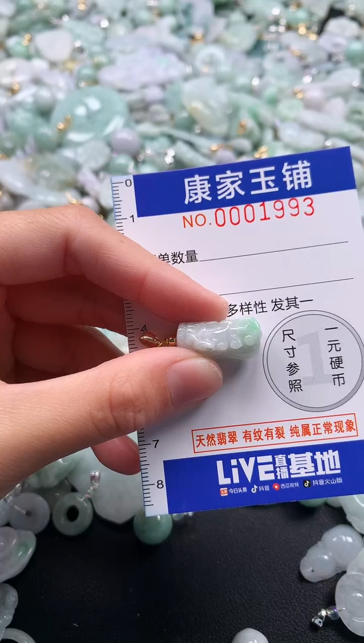 颈饰未镶嵌翡翠1993