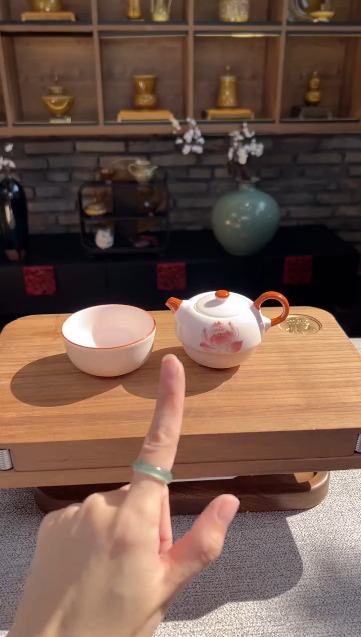 【闪购商品】无尽藏 专属福利单 VVV 