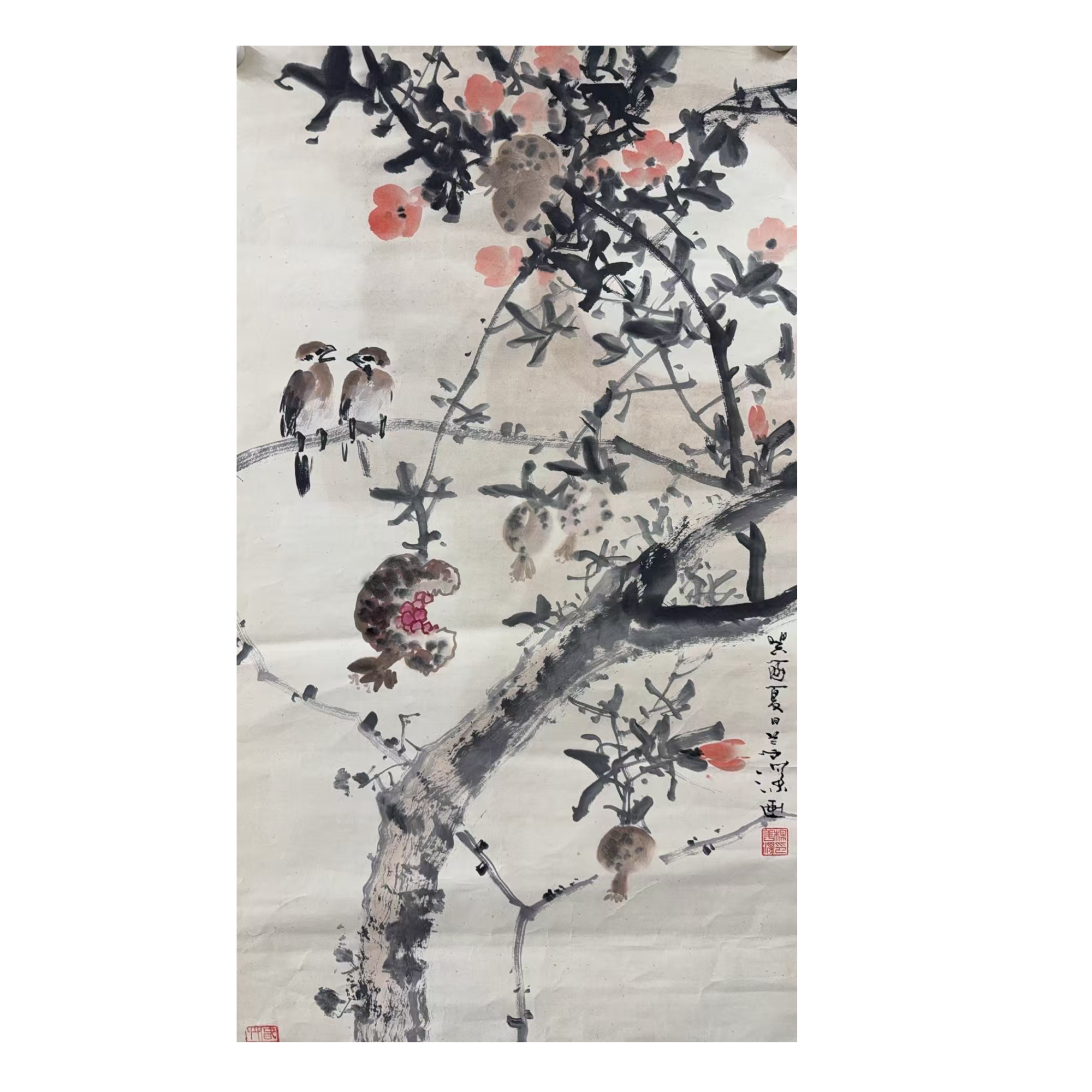 杨善深款绘画花鸟画心100.50 4.5平尺