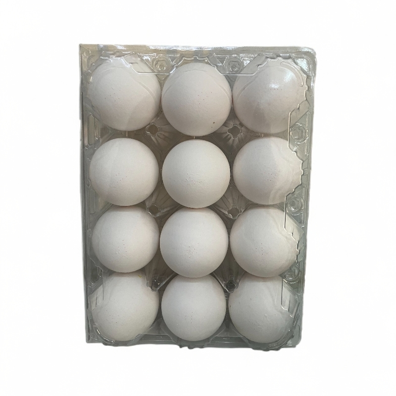 鸡蛋12枚一盘（白色）