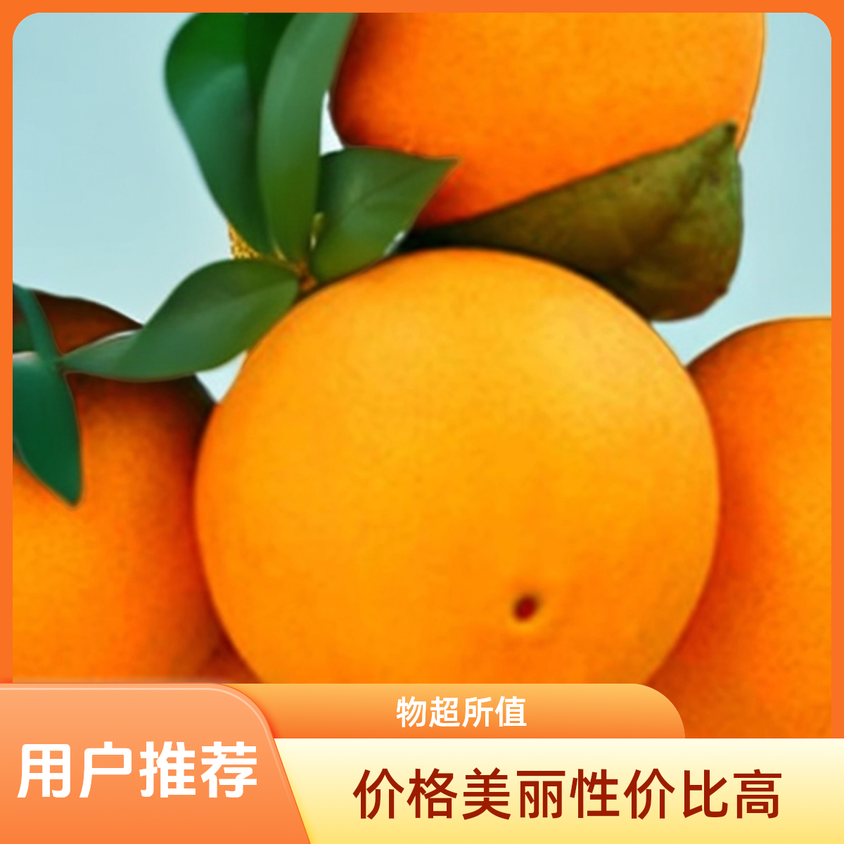 正宗湖北纽荷尔脐橙新鲜水果果园直发皮薄多汁冰糖甜橙10斤橙子