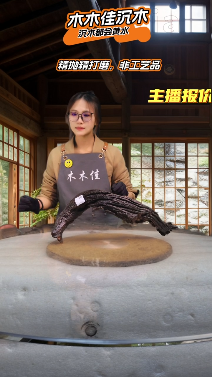 自*游木木佳沉木鱼缸造景-904
