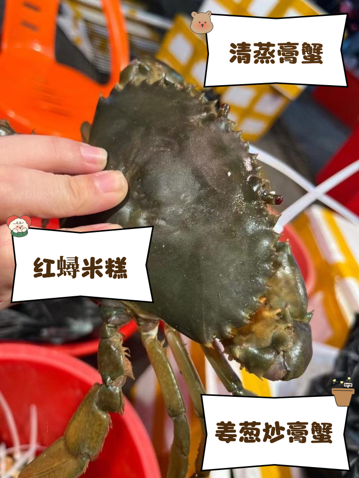 [2-3两/只]东山岛本港红膏蟹青蟹包膏包黄包活到家