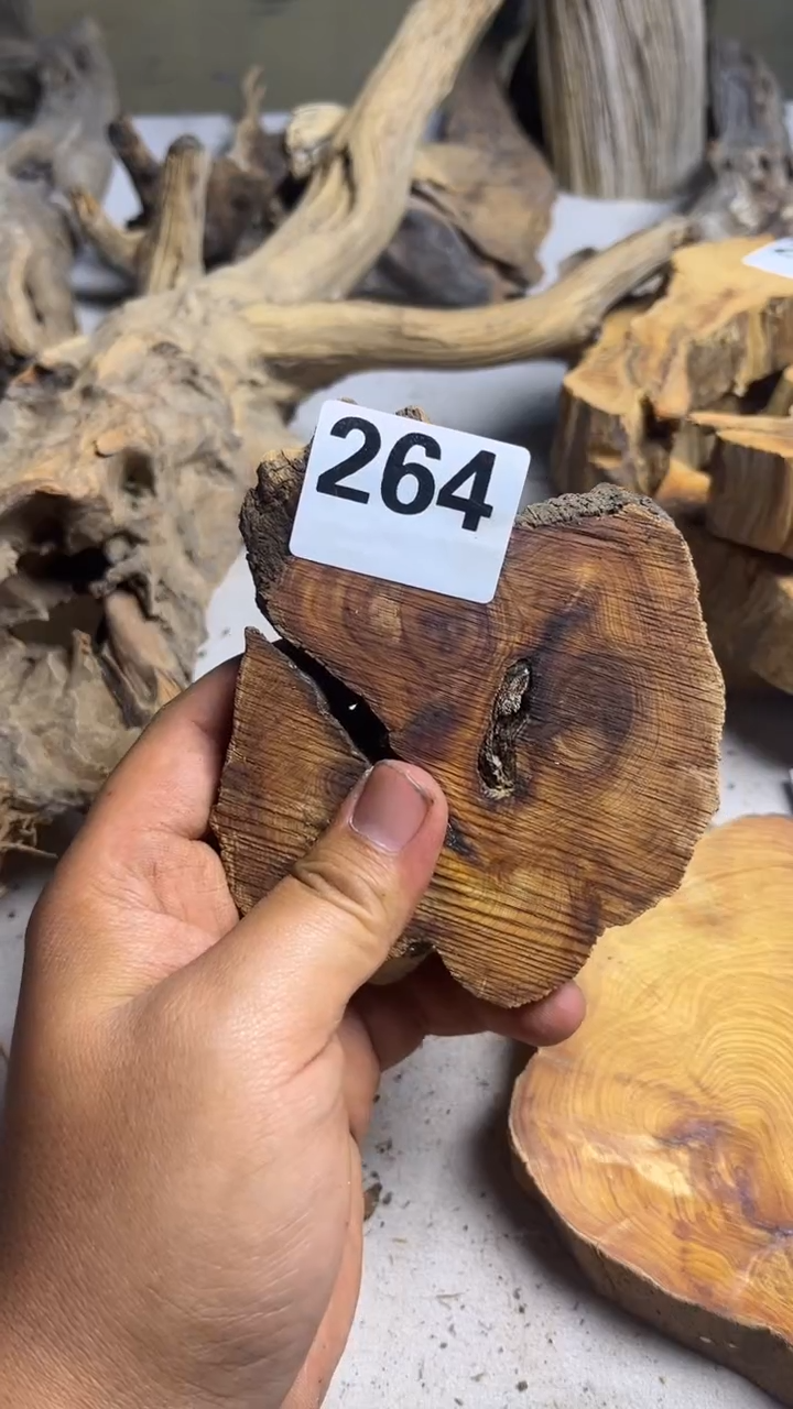 柏木（崖柏）夏太行崖柏香片