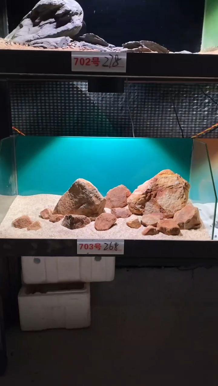 703号鱼缸造景（不含底砂）