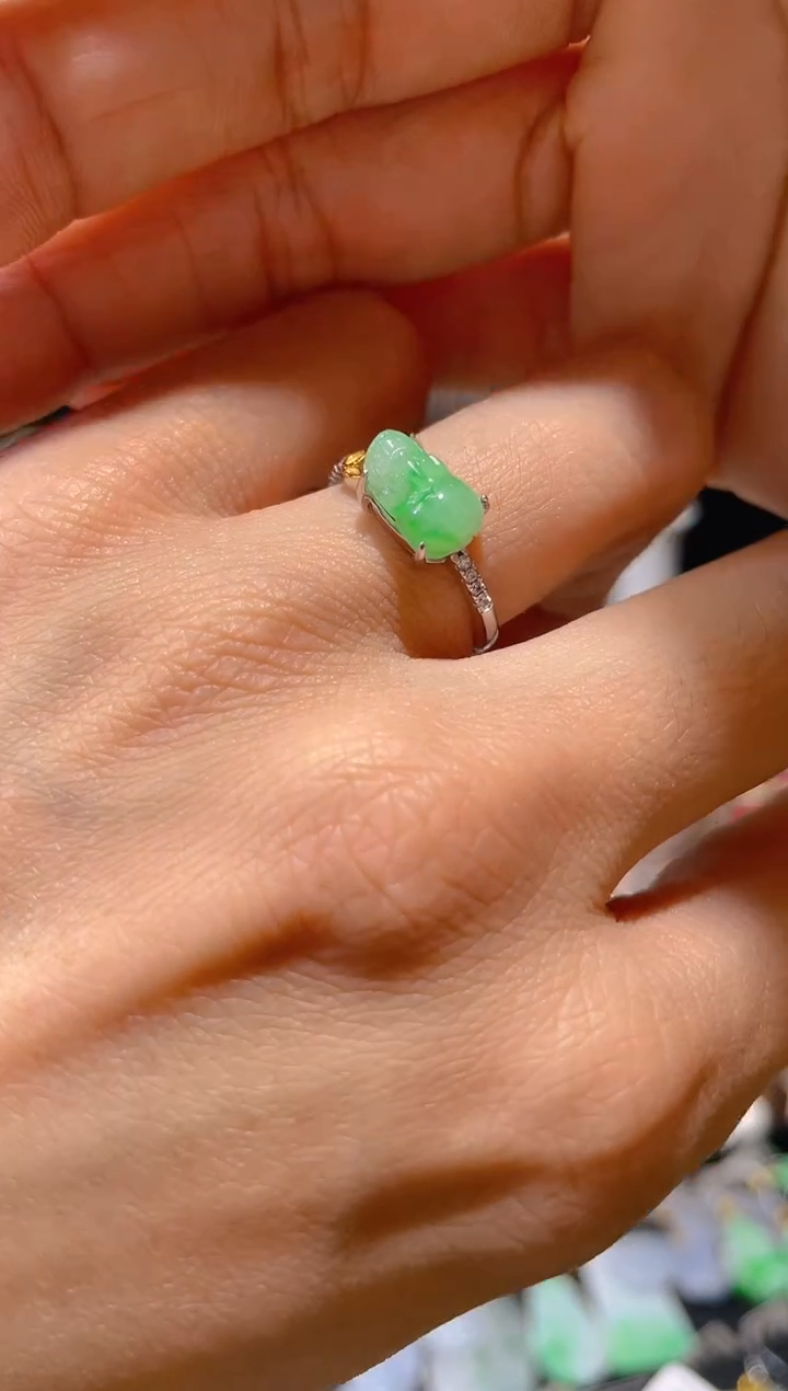 【闪购商品】翡翠颈饰未镶嵌假一赔三