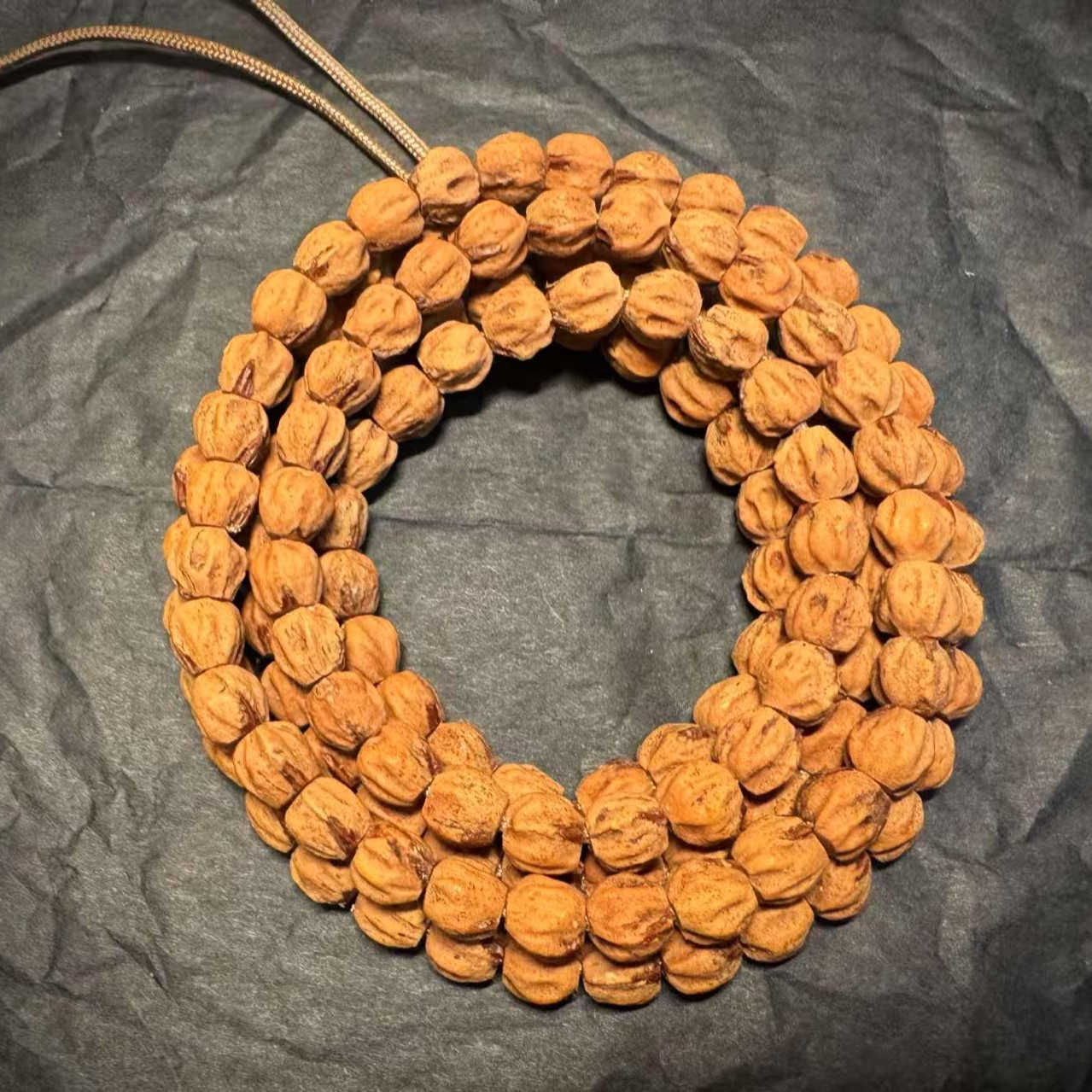 寻柏热振柏香—红牙多棱