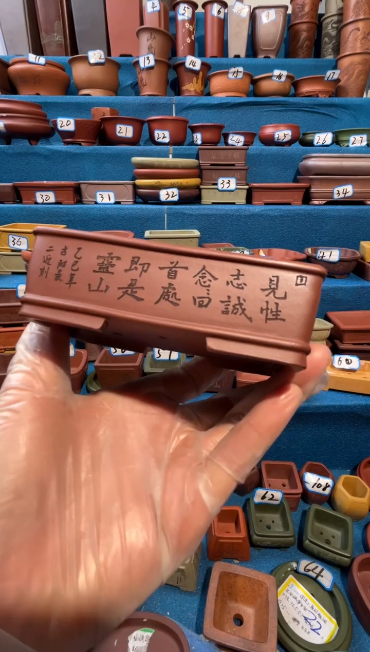 【闪购商品】紫砂紫砂花盆10.5*2.5*6.5