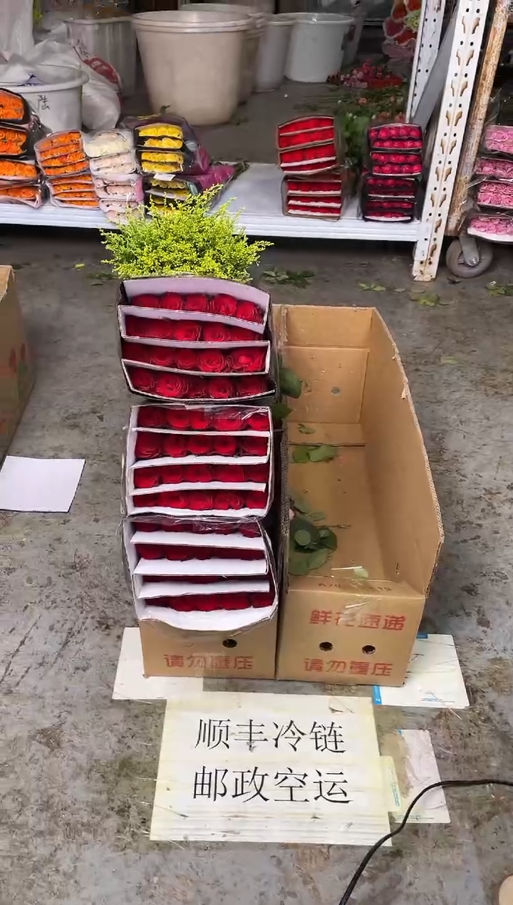 高原红80枝+黄莺   