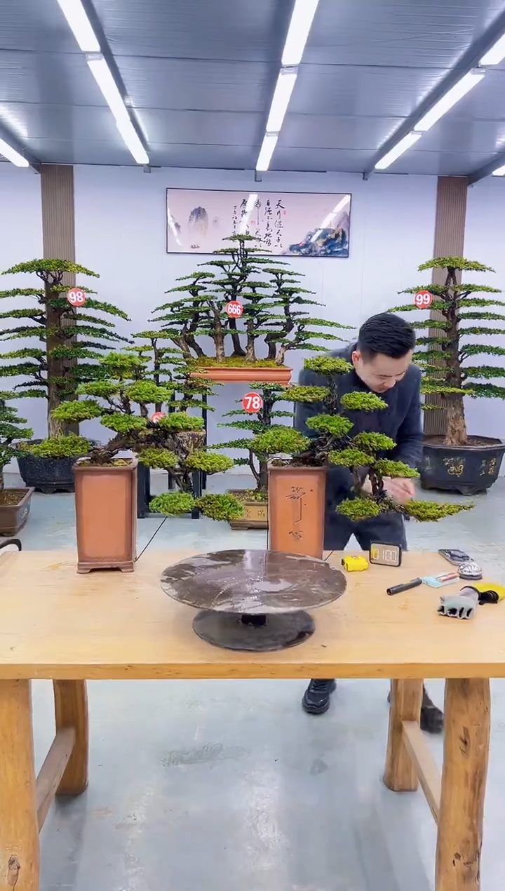 以实际为准0000000000000