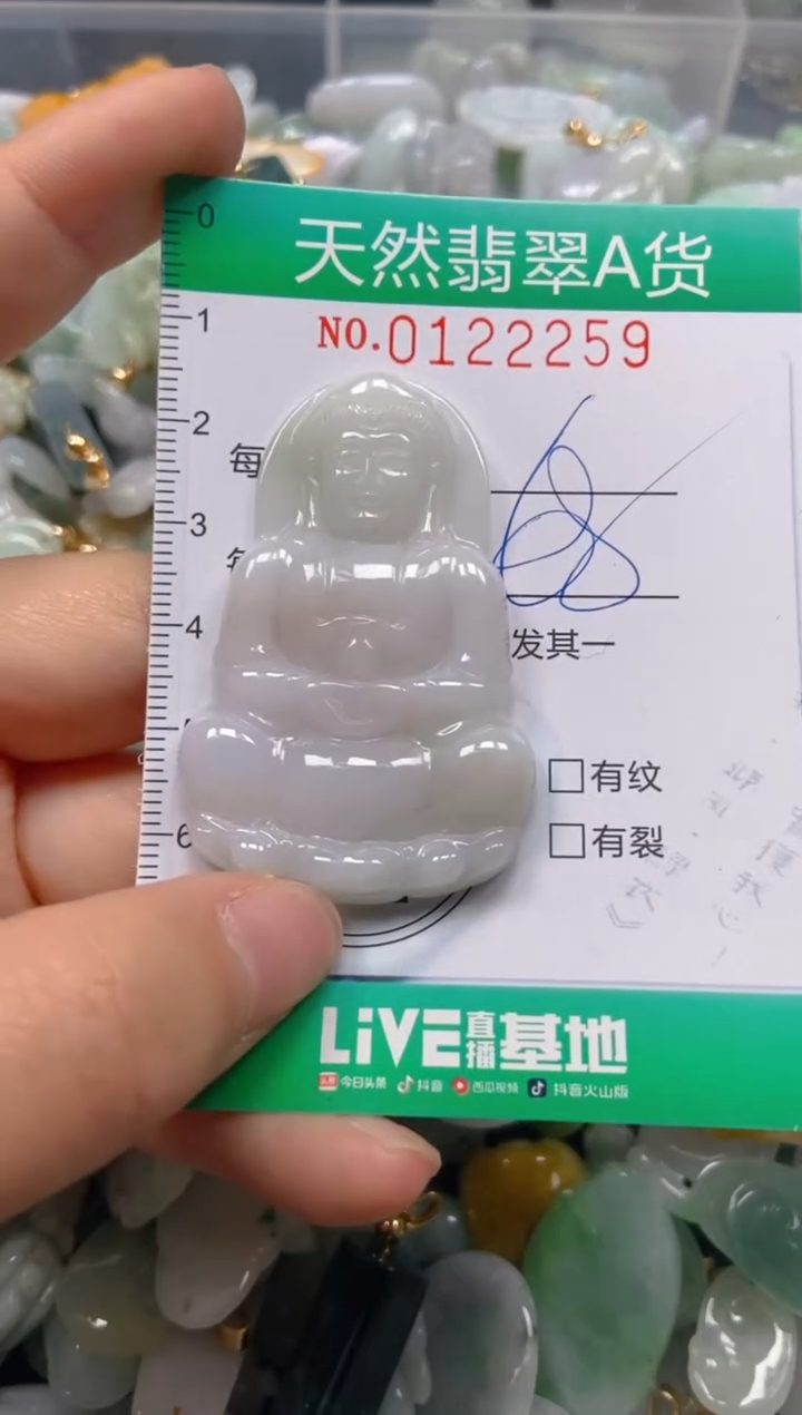 翡翠未镶嵌颈饰闪购0122259