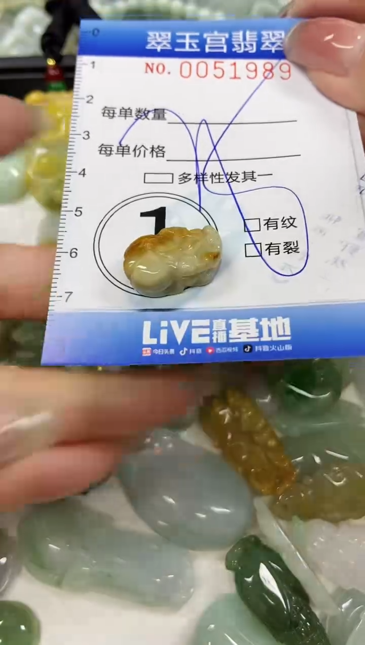 【闪购商品】翡翠颈饰未镶嵌闪购0051989