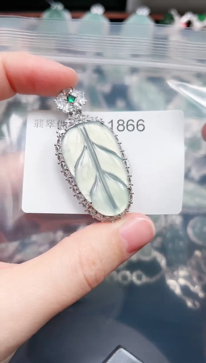 【闪购商品】翡翠颈饰未镶嵌赠皮绳1866