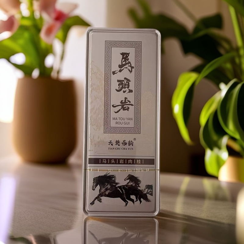 福建武夷岩茶-马头岩肉桂铁盒2泡品鉴B