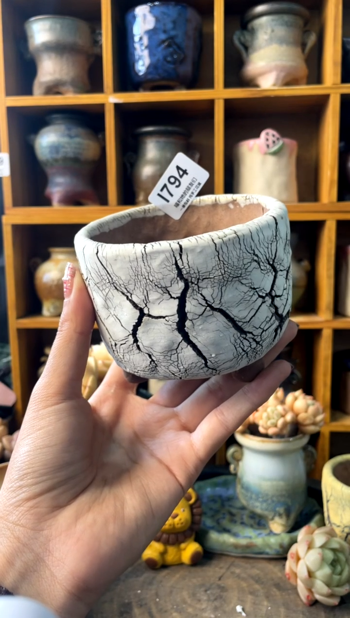 794内口8【多肉花盆多肉盆】