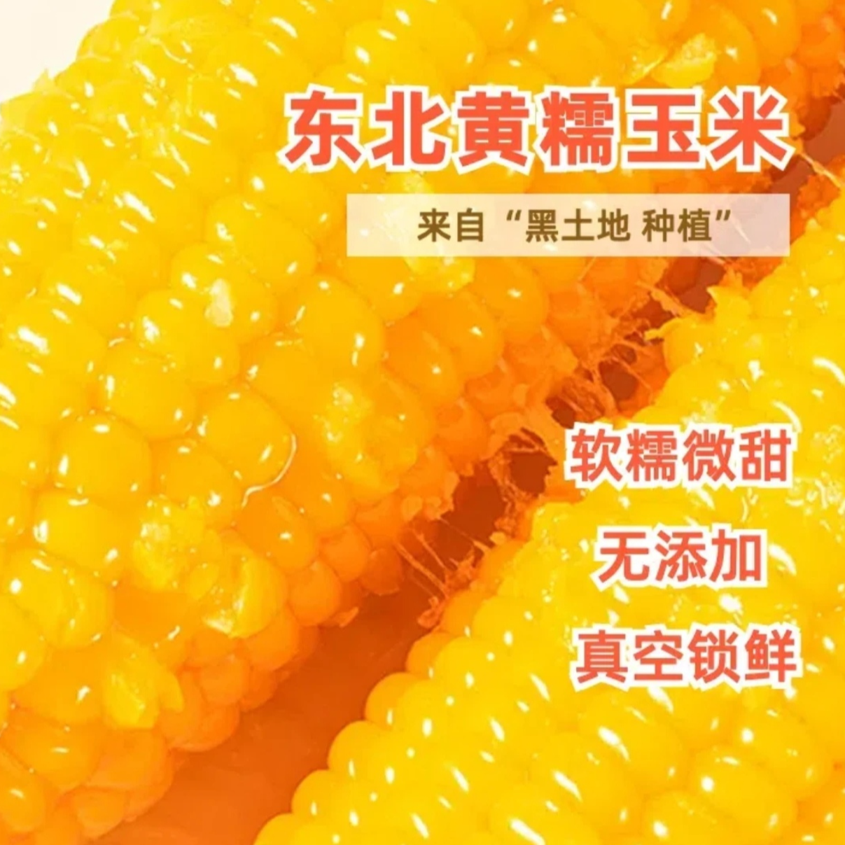 （试吃两根）正宗黄糯玉米东北10根整箱5斤