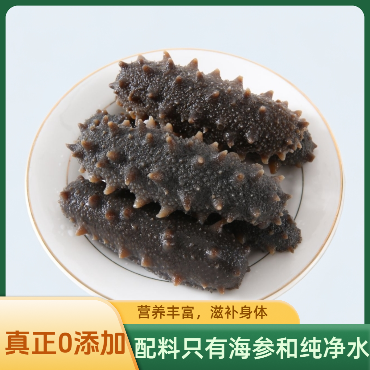 渔舫鲜（中秋福利）鲜蒸即食海参 11-12头 Q弹饱满 顺丰冷链 