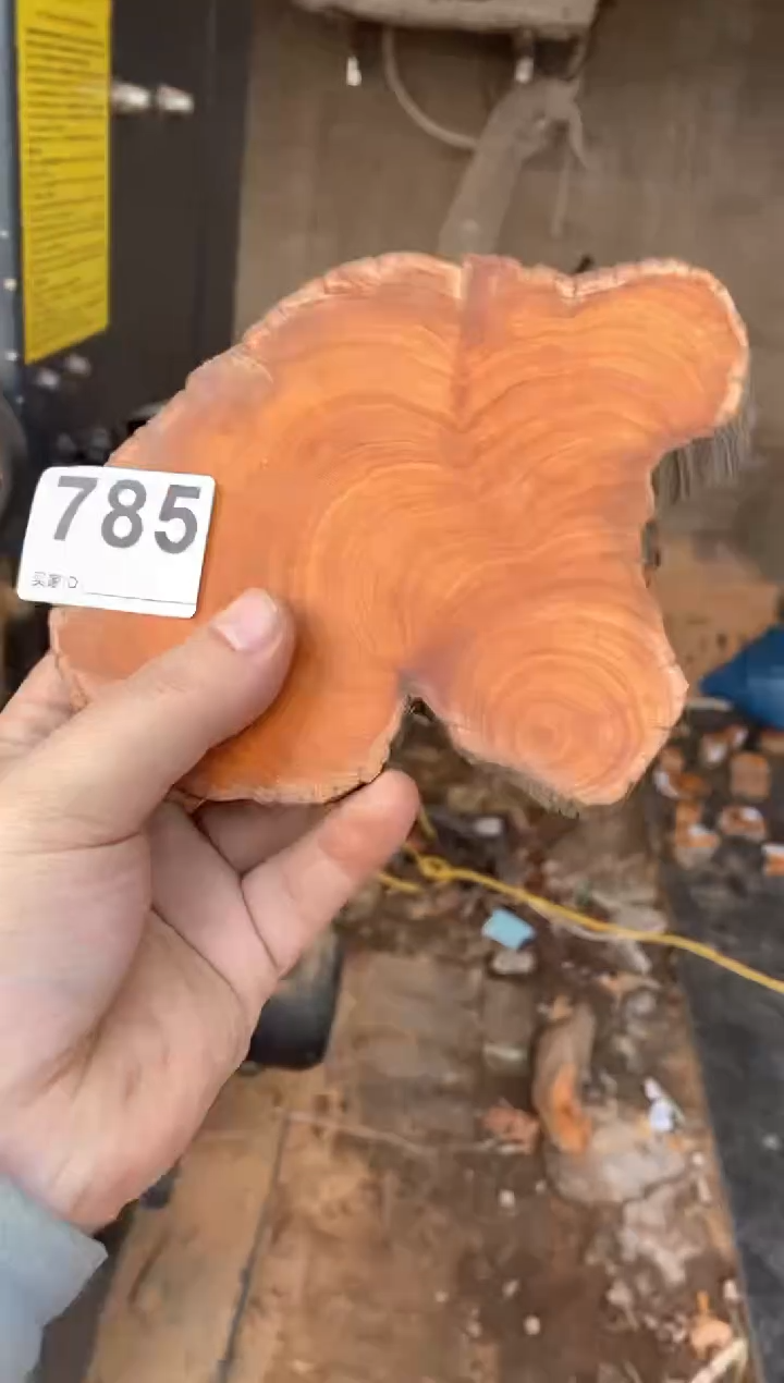 【闪购商品】柏木太行陈化崖柏切片