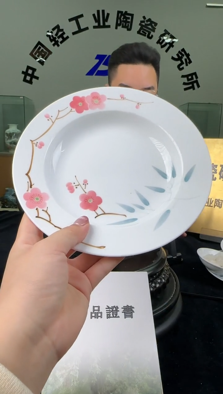 瓷翠竹红梅8寸深盘