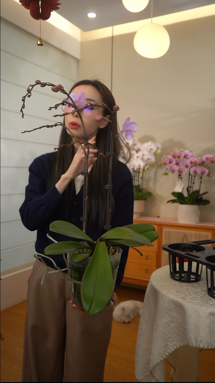 完全开放中*米神仙姐姐 2花剑