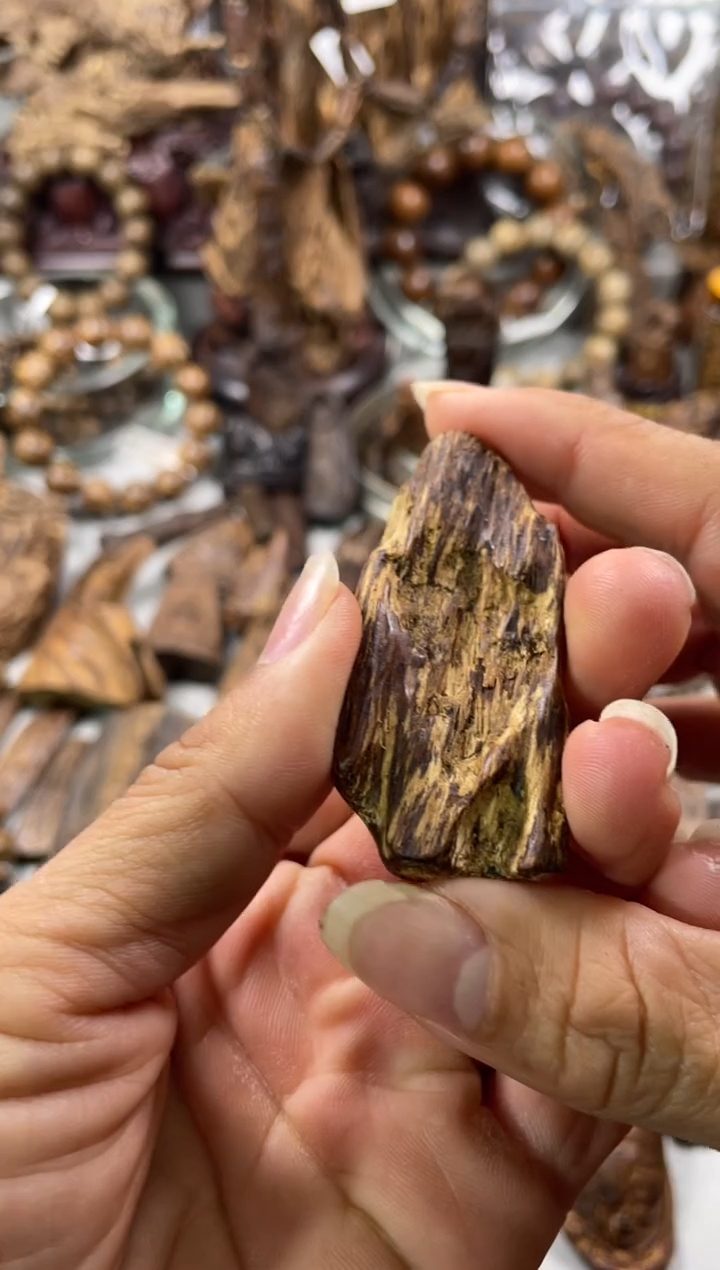 沉香沉香碎屑树*达拉干  沉香