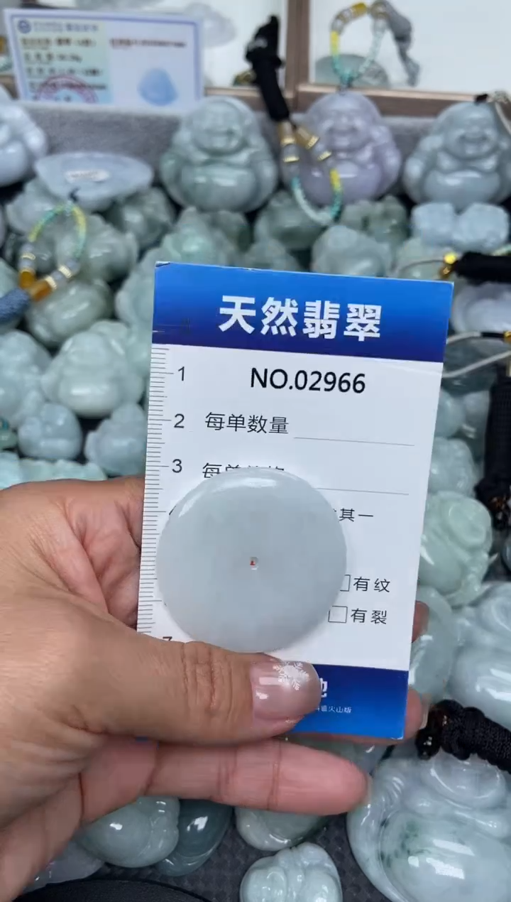 颈饰未镶嵌翡翠纯天然A货翡翠2966