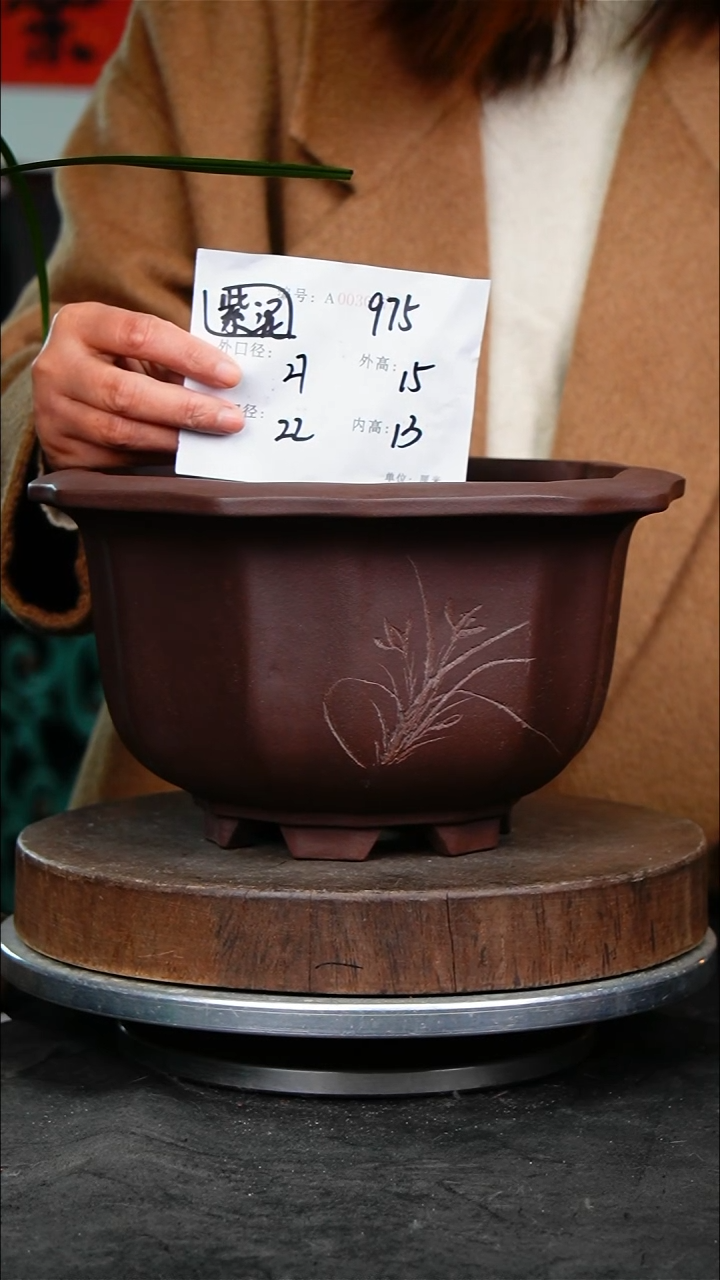 紫砂花盆花卉园艺975