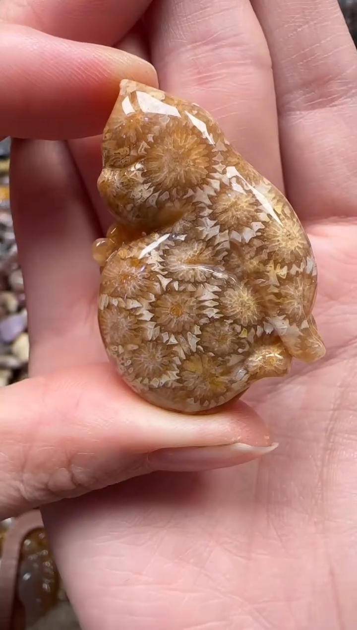 颈饰未镶嵌硅化珊瑚（珊瑚玉）194