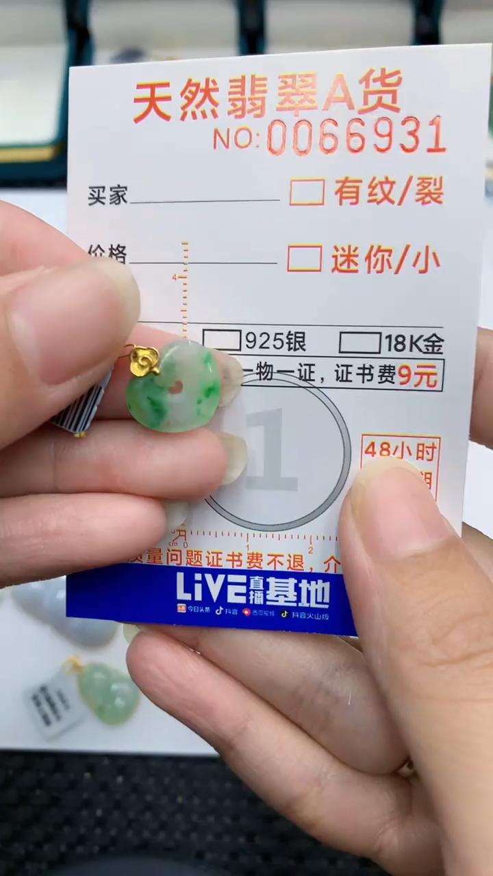 【闪购商品】翡翠颈饰18K金镶嵌            8